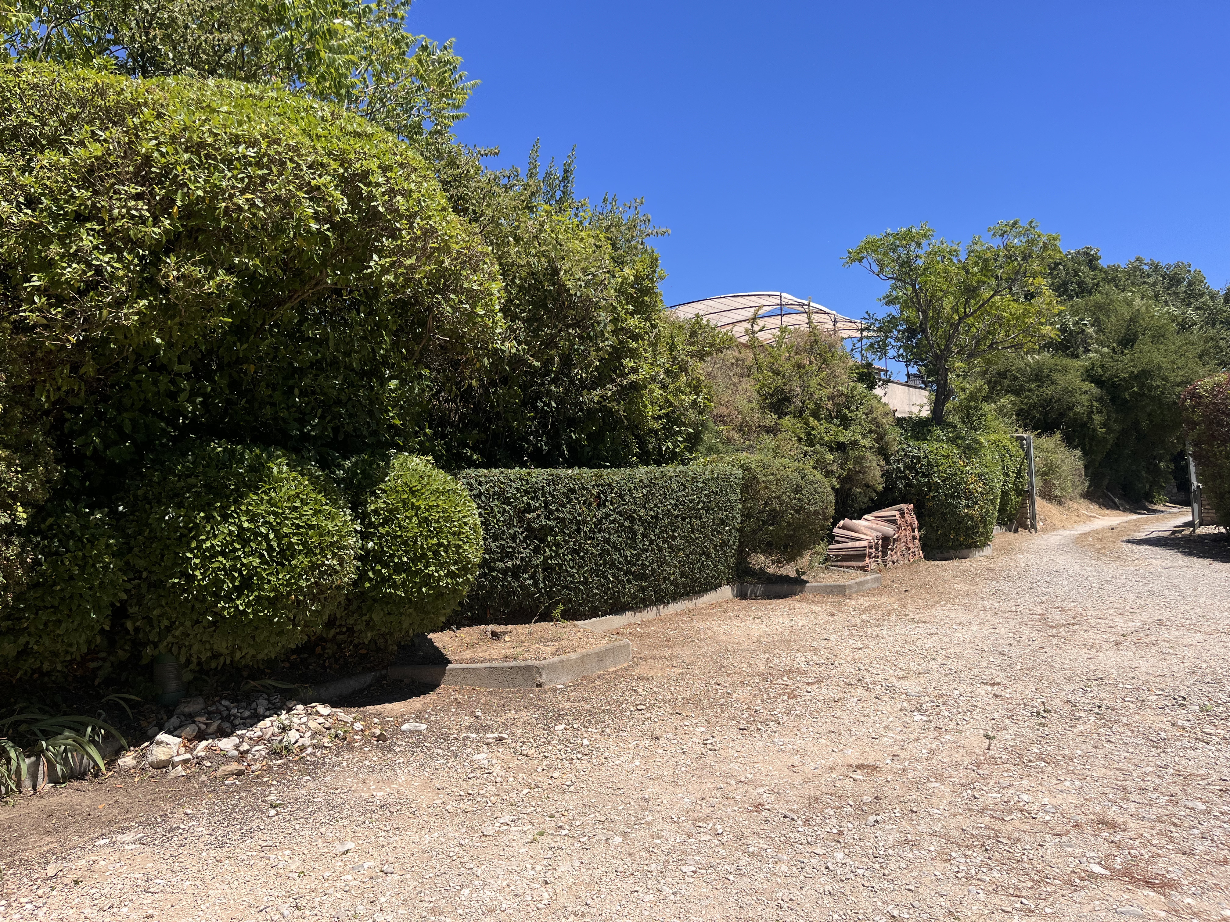 Haies sculptées en boules et cônes à l'entrée d'une propriété