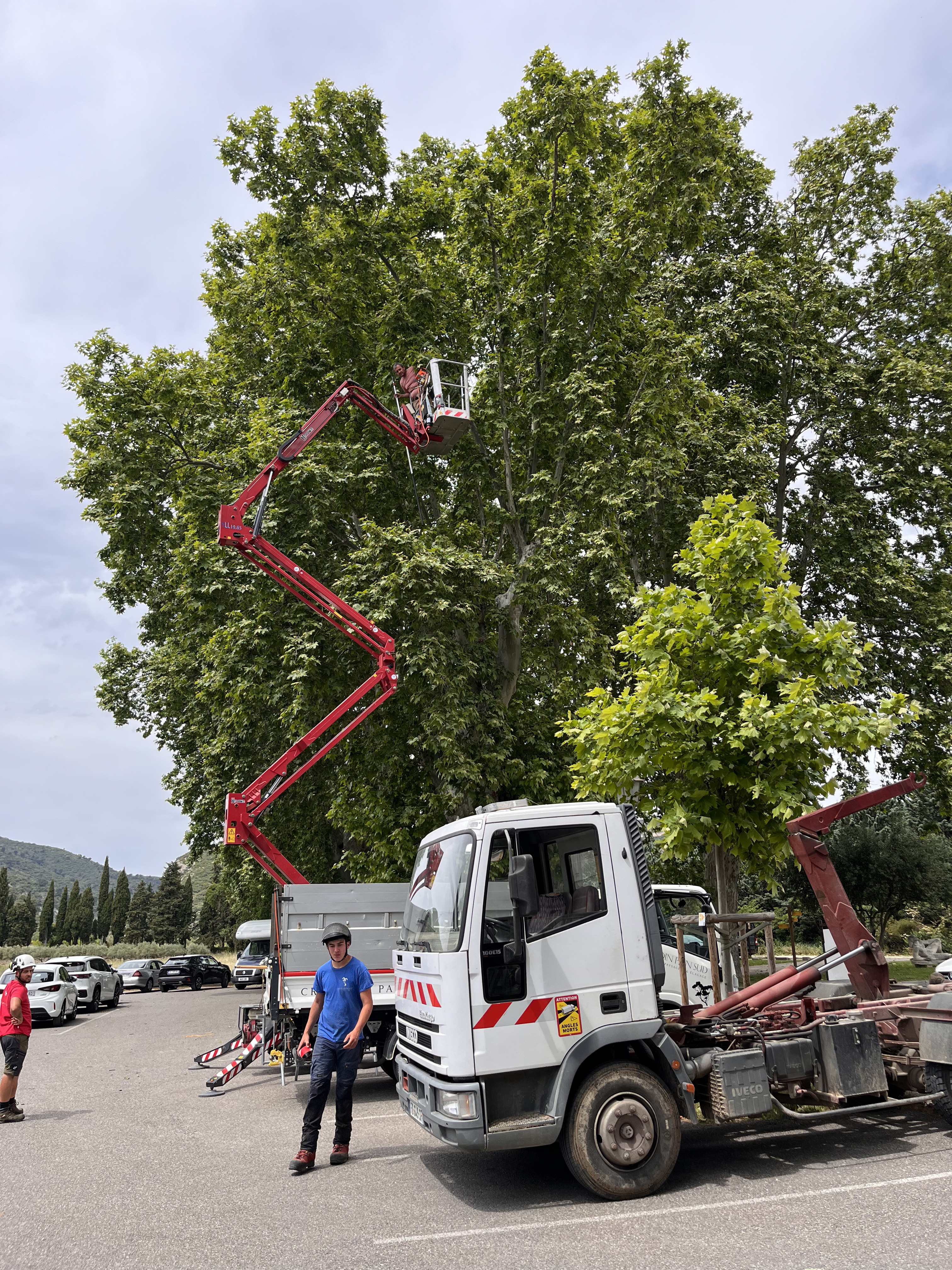 Chantier de taille d'arbres avec camion-nacelle rouge déployé