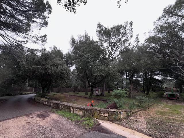 Propriété en pinède nettoyée avec muret en pierre